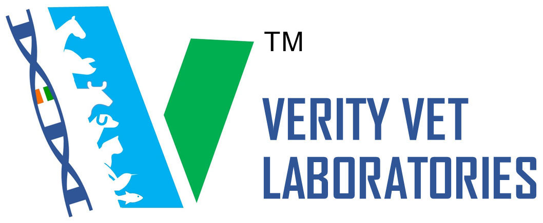 Verityvet Labs