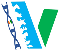 logo-5