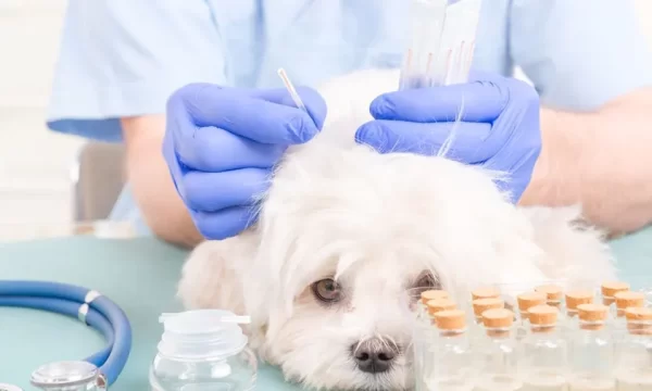 pet labs