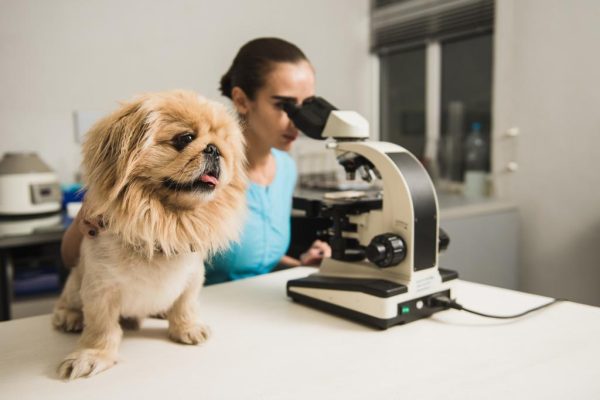 Specialised Tests